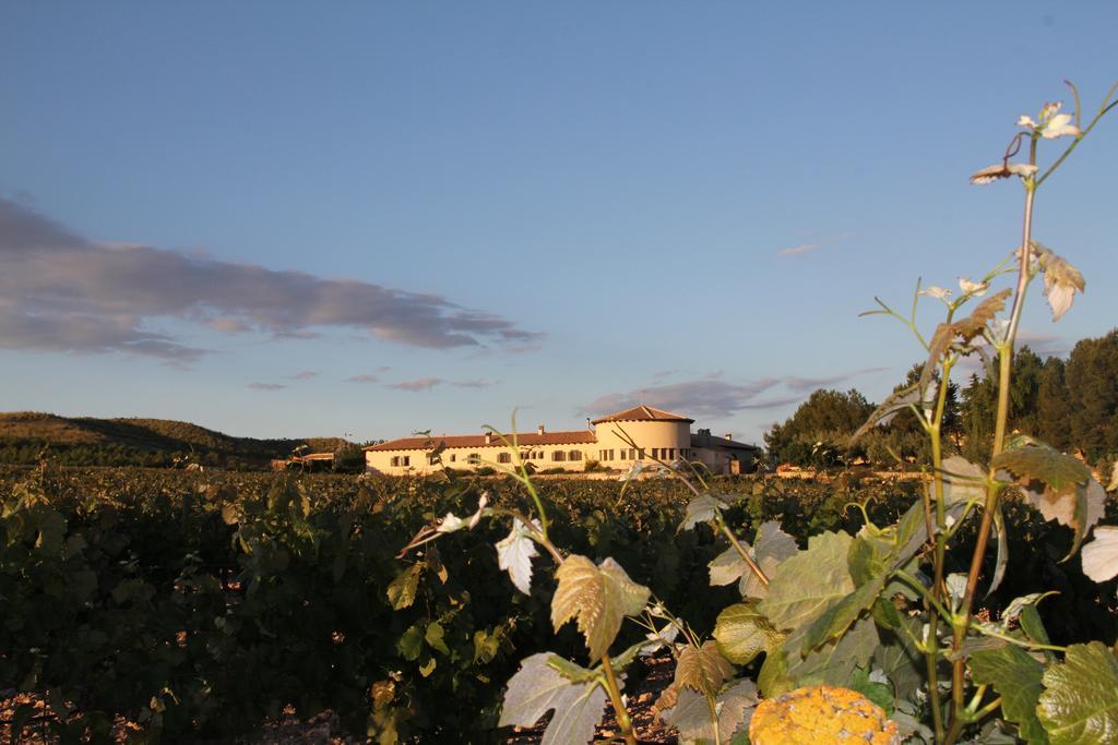 Hotel Enoturismo Mainetes Fuente-Álamo المظهر الخارجي الصورة